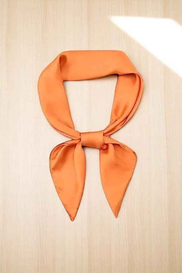 SC - ETA 5/22 - Orange Game Day Scarf