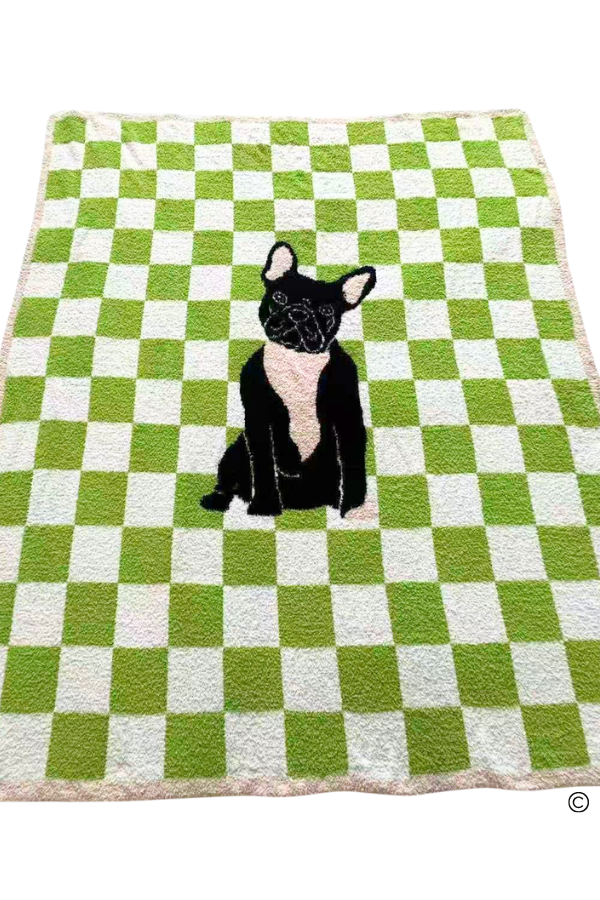 SC - Walter Wiggles Check Blanket©