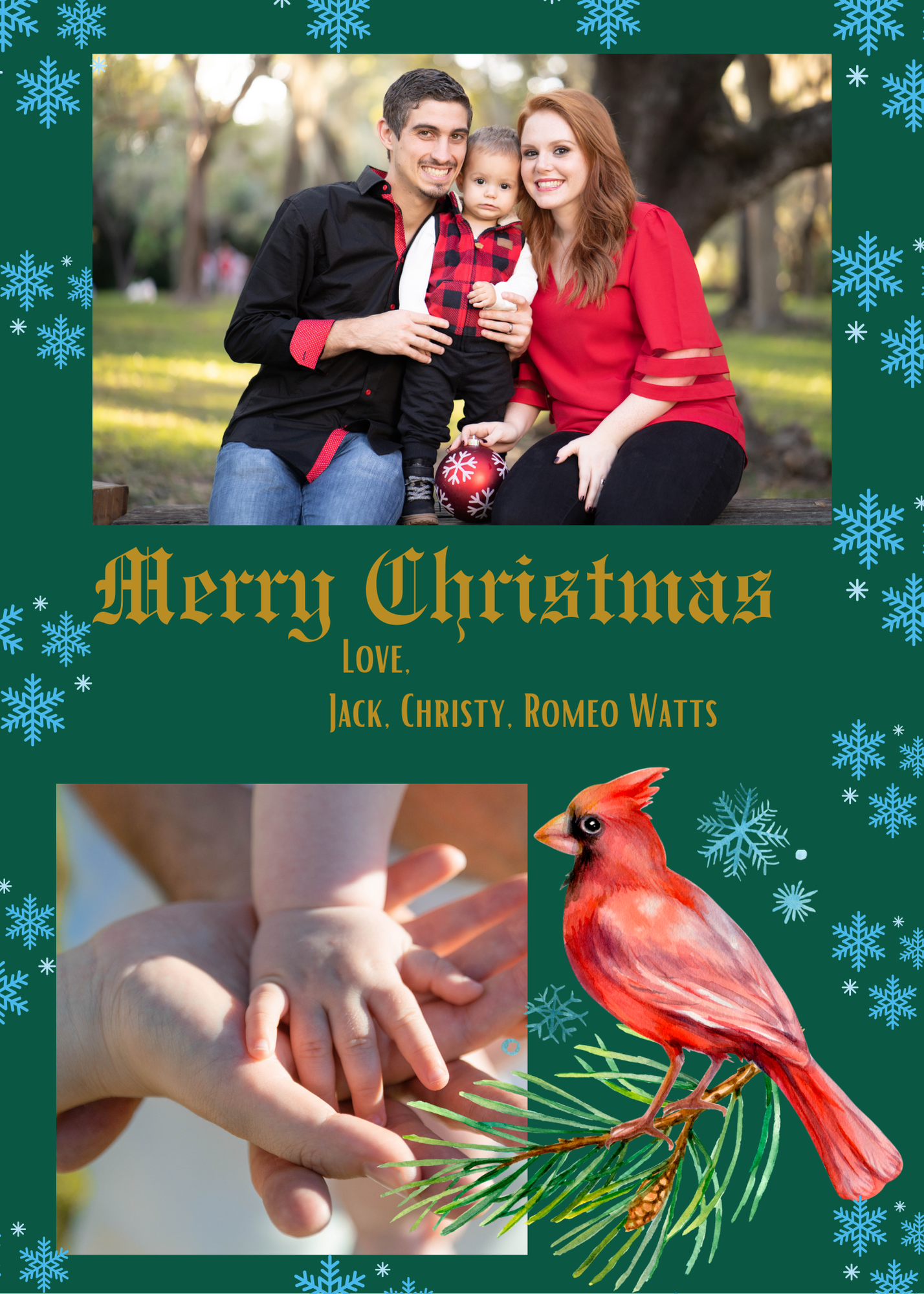 Cardinal Christmas Card
