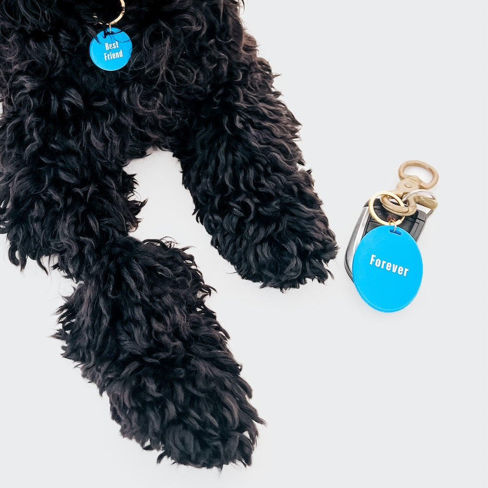 Gus & Co - Dog Tag and Keychain Set