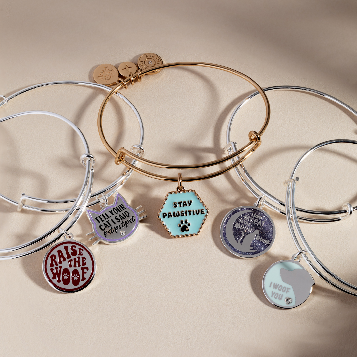 Dog 'Stay Pawsitive' Bangle