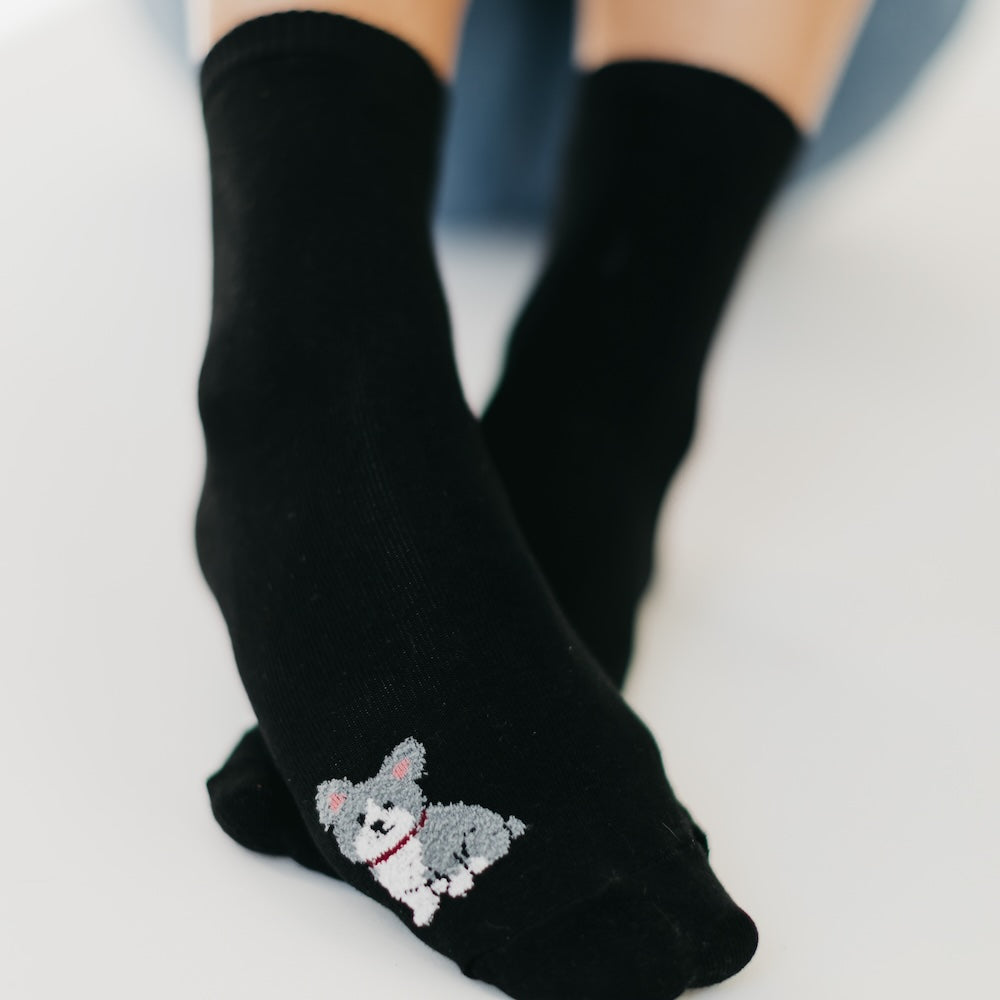 Love Your Pet Socks