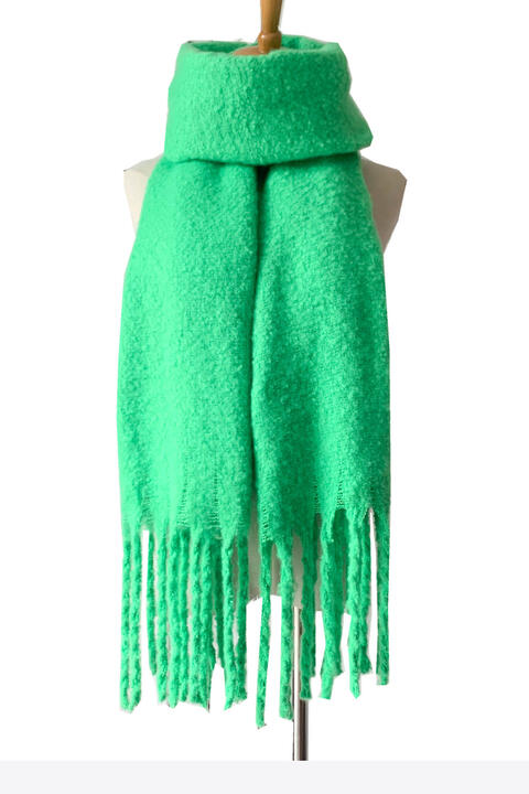 Bold and Beautiful fringe Detail Polyester Scarf