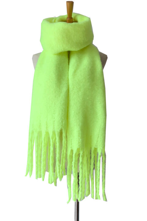 Bold and Beautiful fringe Detail Polyester Scarf