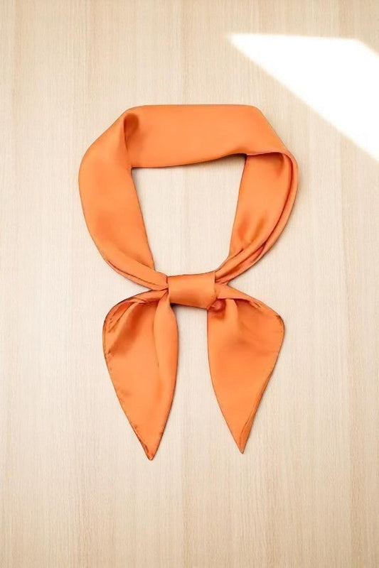 SC - ETA 5/22 - Orange Game Day Scarf