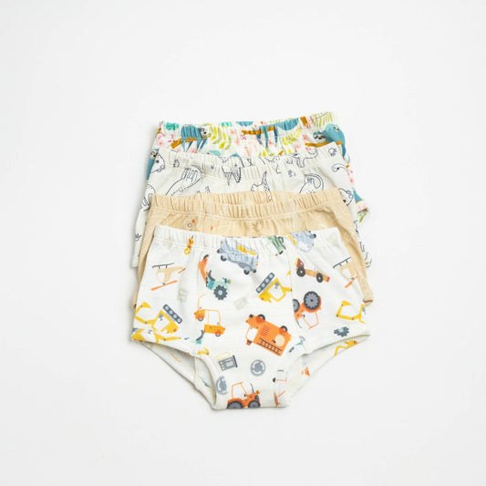 Adventure-Ready Organic Potty Training Underwear (4 Pack)