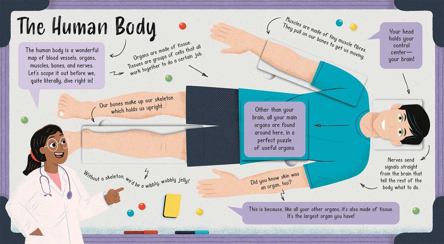 Lift-the-Flap Human Body Adventure by IglooBooks