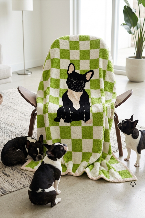 SC - Walter Wiggles Check Blanket©