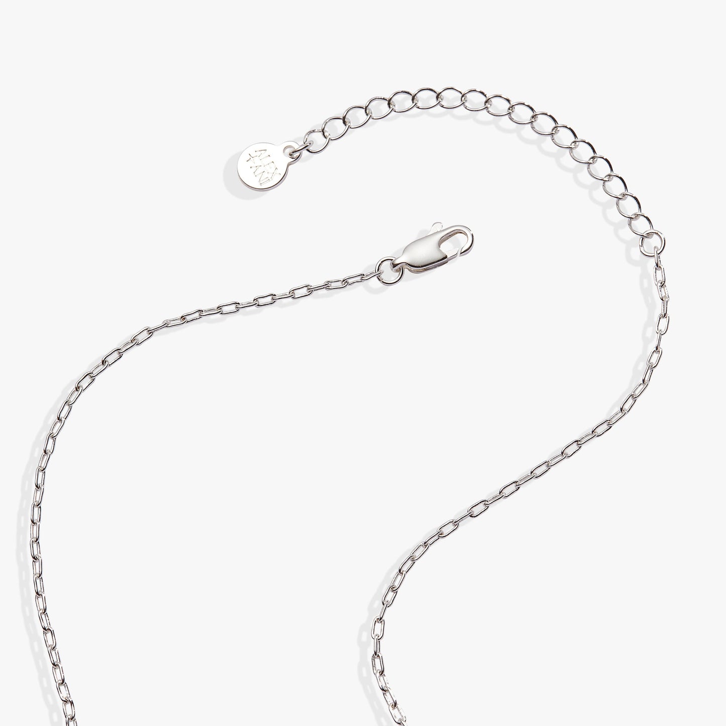 Cardinal Necklace