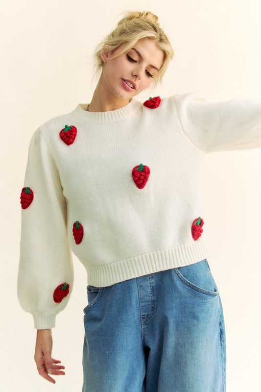 Davi & Dani Crochet Strawberry Round Neck Sweater