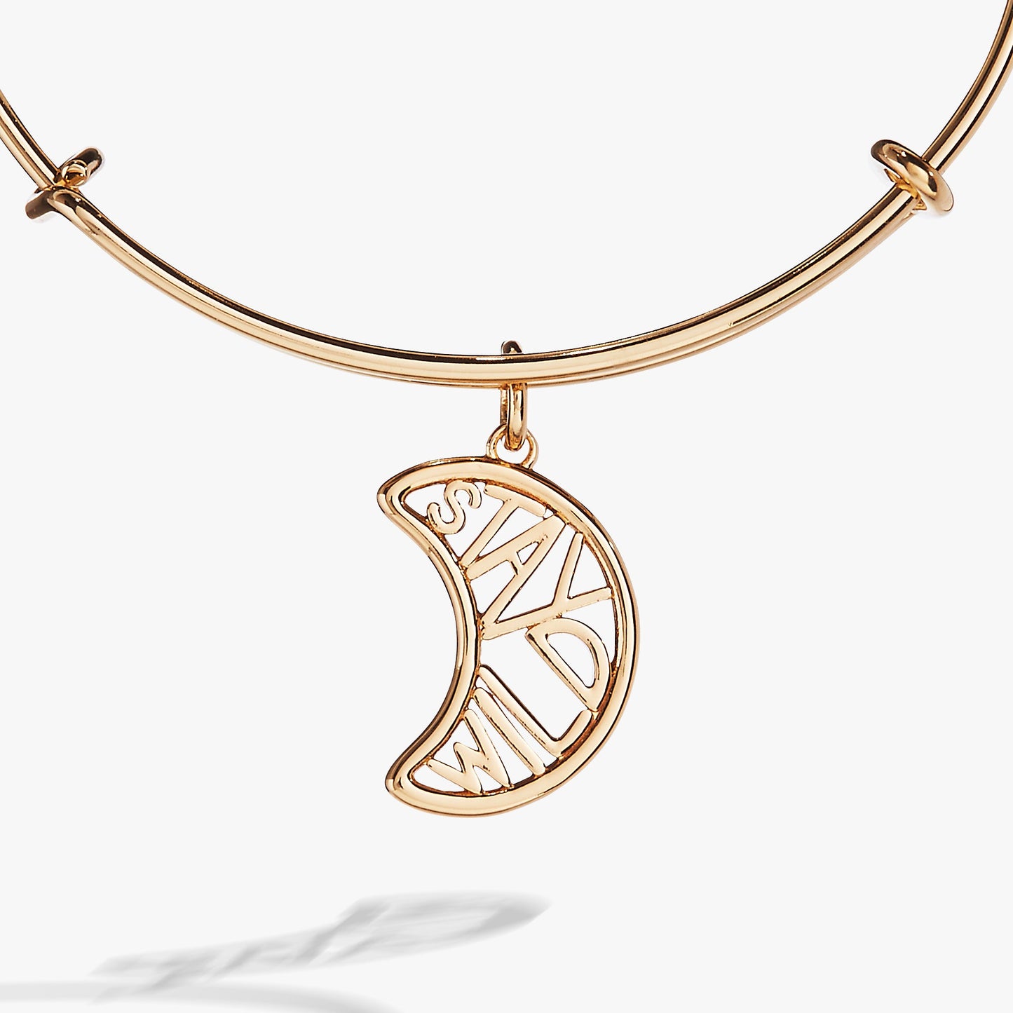 Stay Wild Charm Bangle