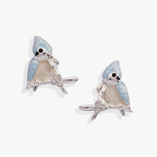 Tufted Titmouse Bird Stud Earrings